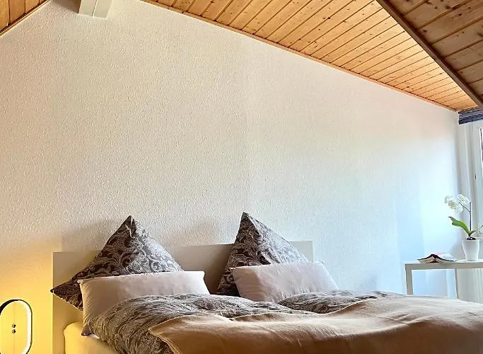 Anton-ulrich * 마이닝겐